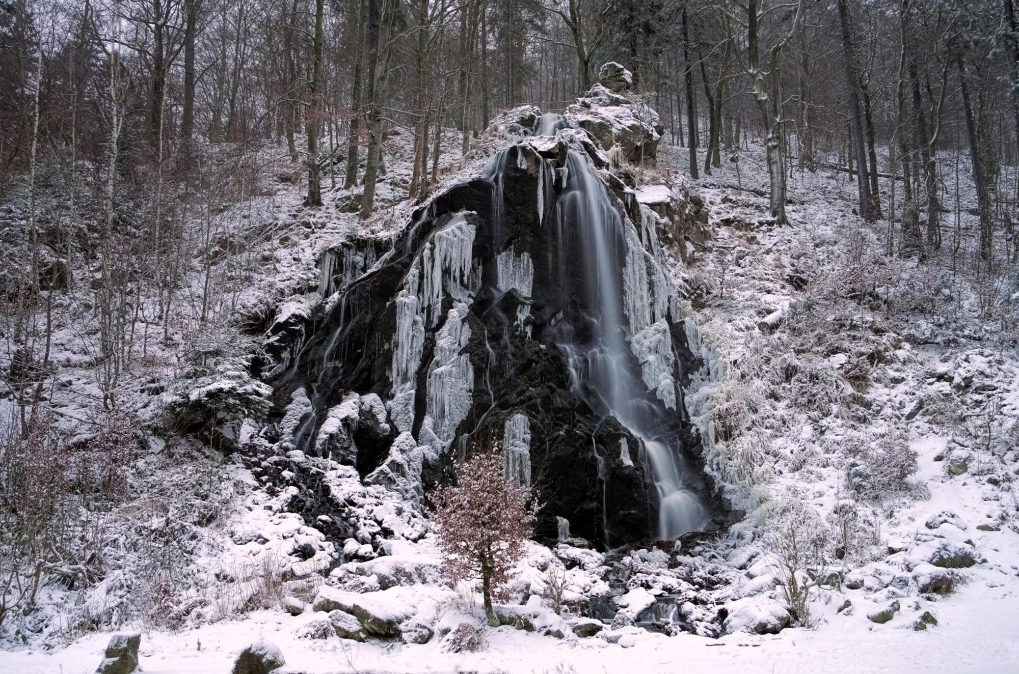 Bezaubernde Fewo Bergahorn mit Wintergarten Bad Harzburg Exterior foto